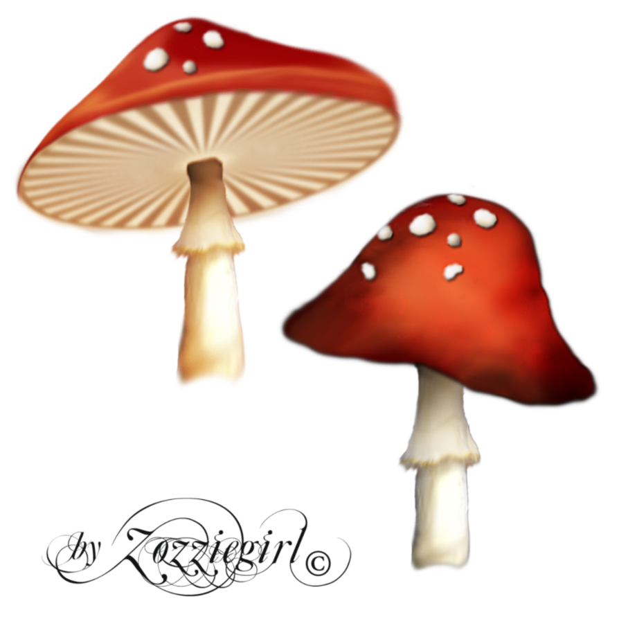 mushroom clipart enchanted