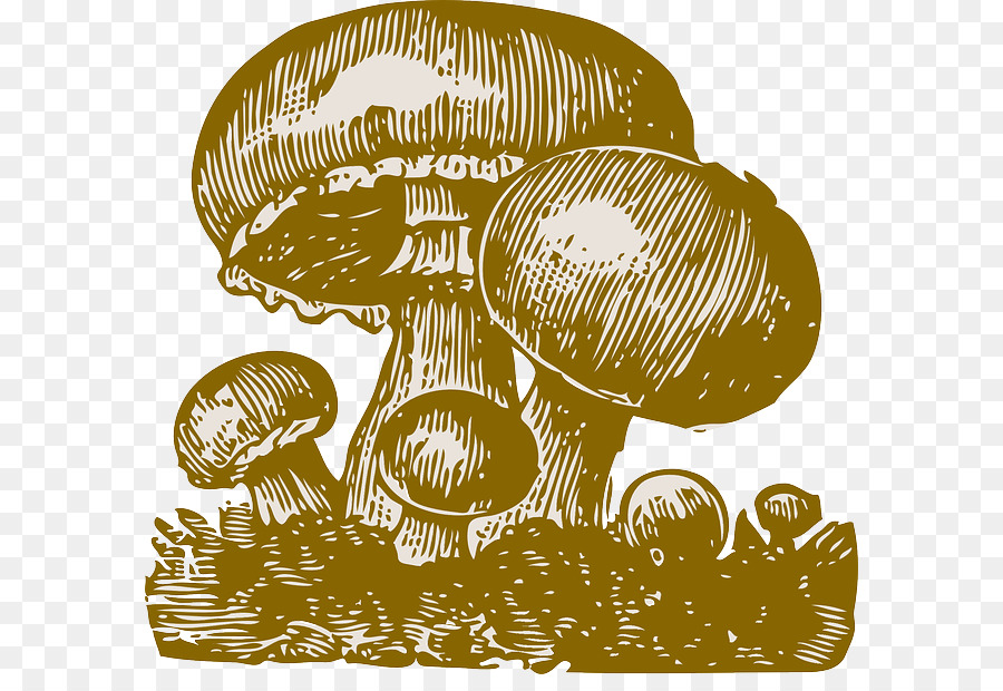 mushrooms clipart font