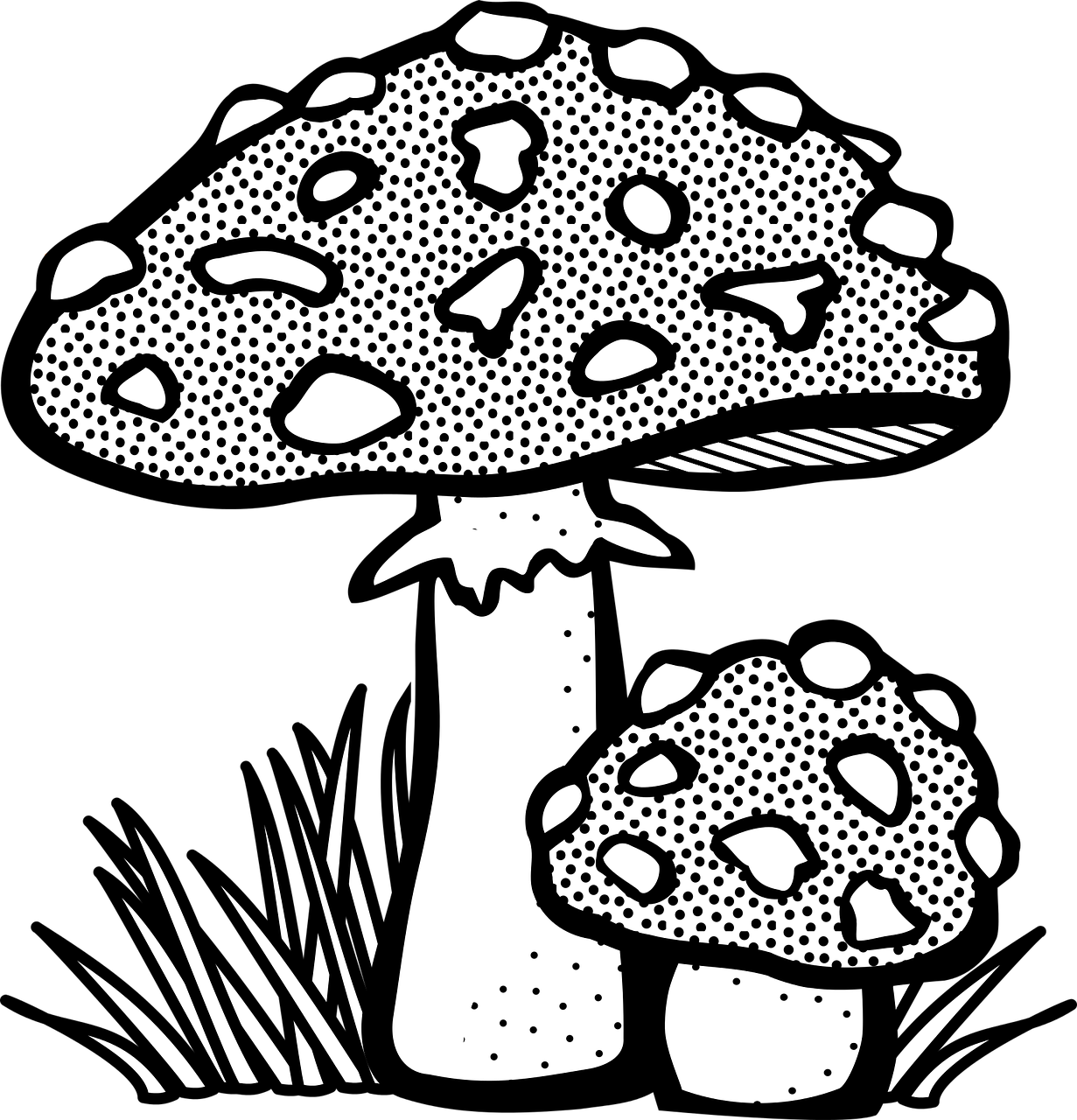 Cute Mushroom Drawing Outline