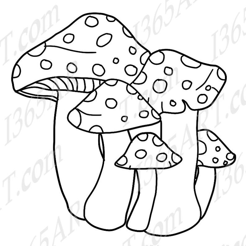 mushroom clipart line drawing
