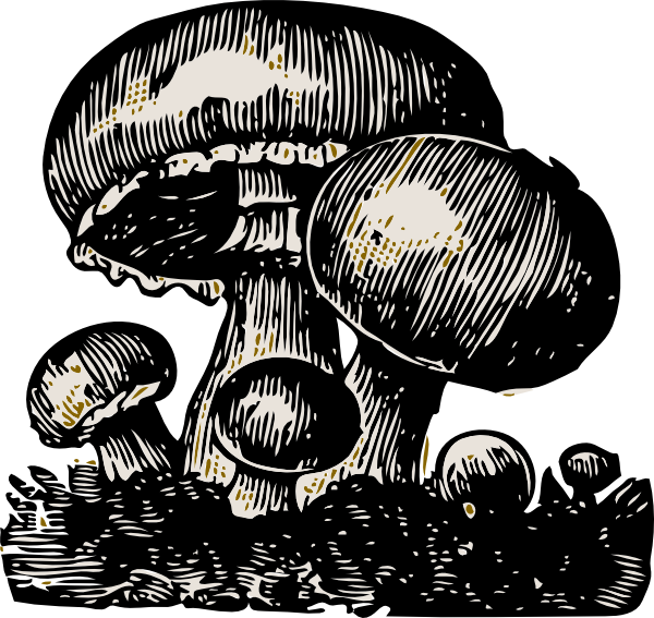 mushroom clipart mush