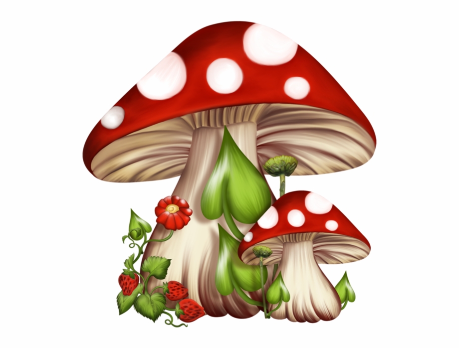 mushroom clipart mushroom garden