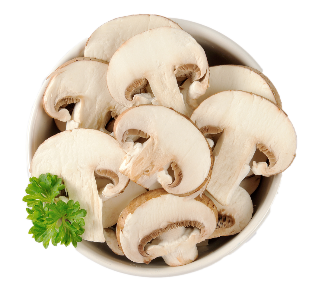 Mushrooms mushroom slice