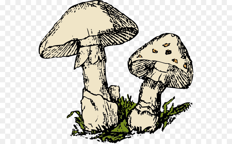 mushroom clipart mushroom tree