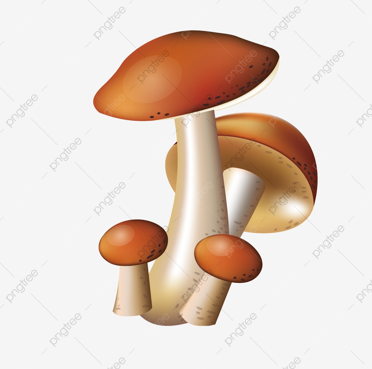 mushroom clipart mushroom vegetable