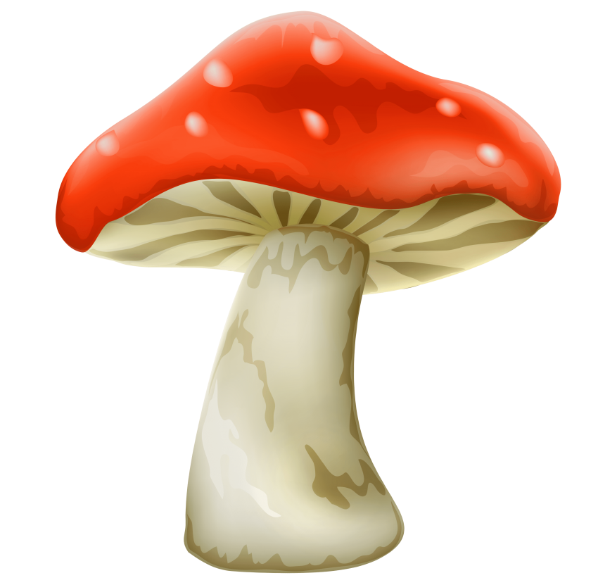 mushrooms clipart object