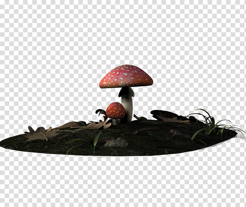 mushroom clipart orange mushroom