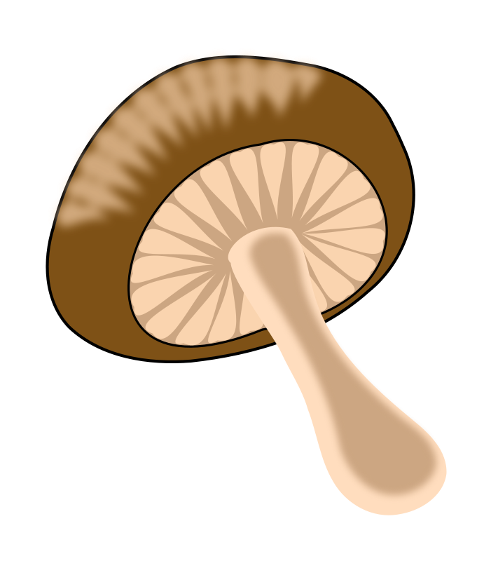 mushroom clipart outline