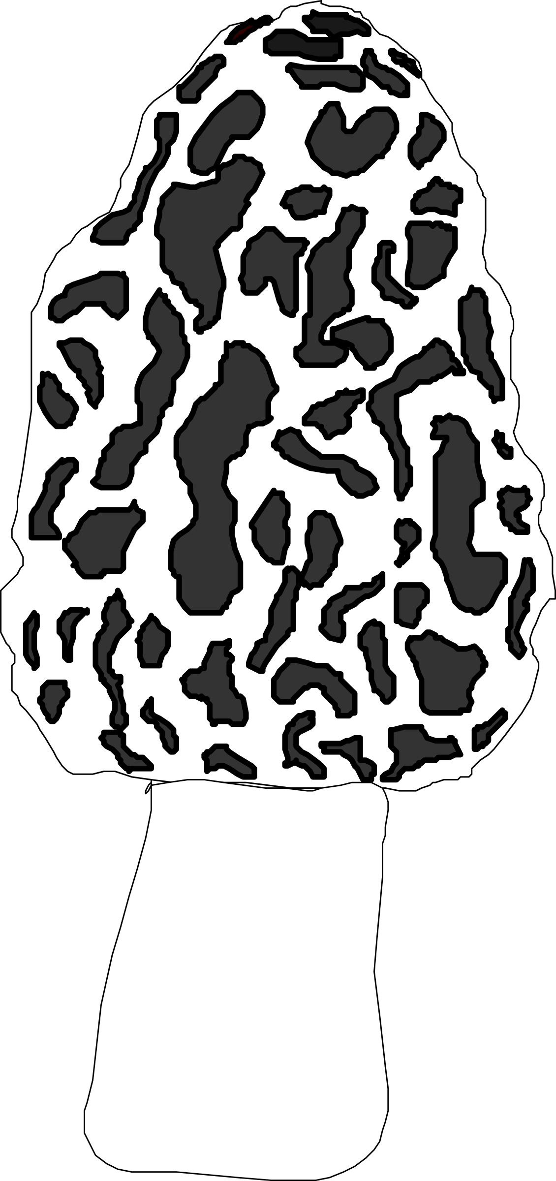 Morel big image png. Mushroom clipart outline