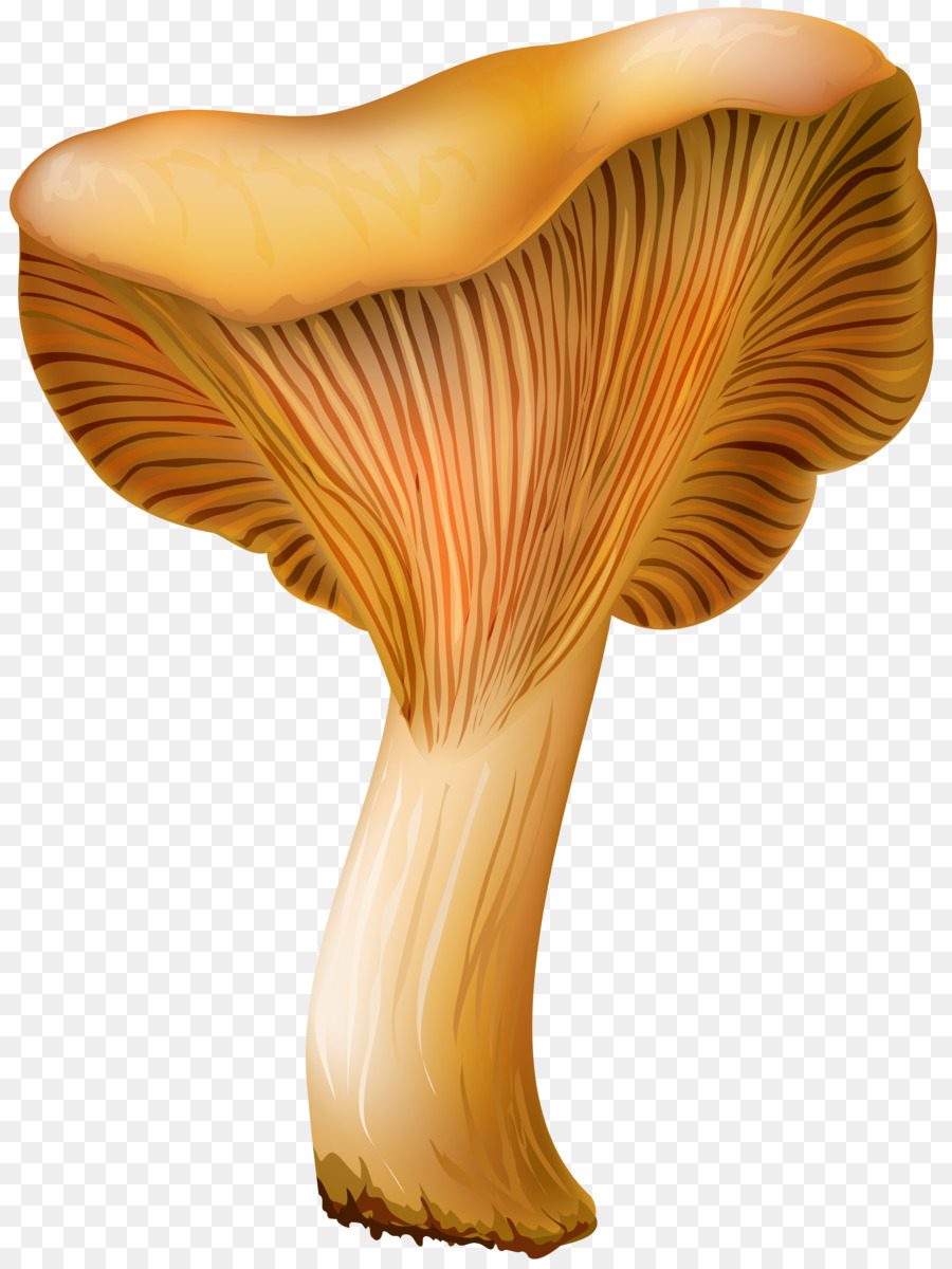Cartoon png download free. Mushroom clipart oyster mushroom