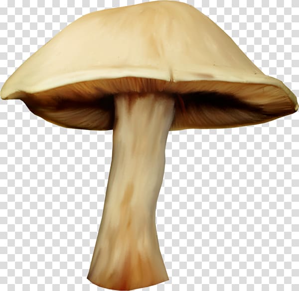 mushroom clipart painted