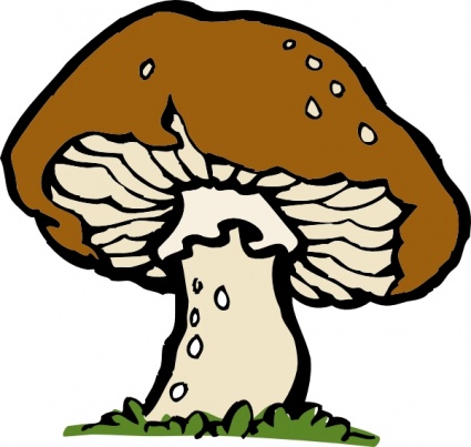 mushroom clipart portobello mushroom