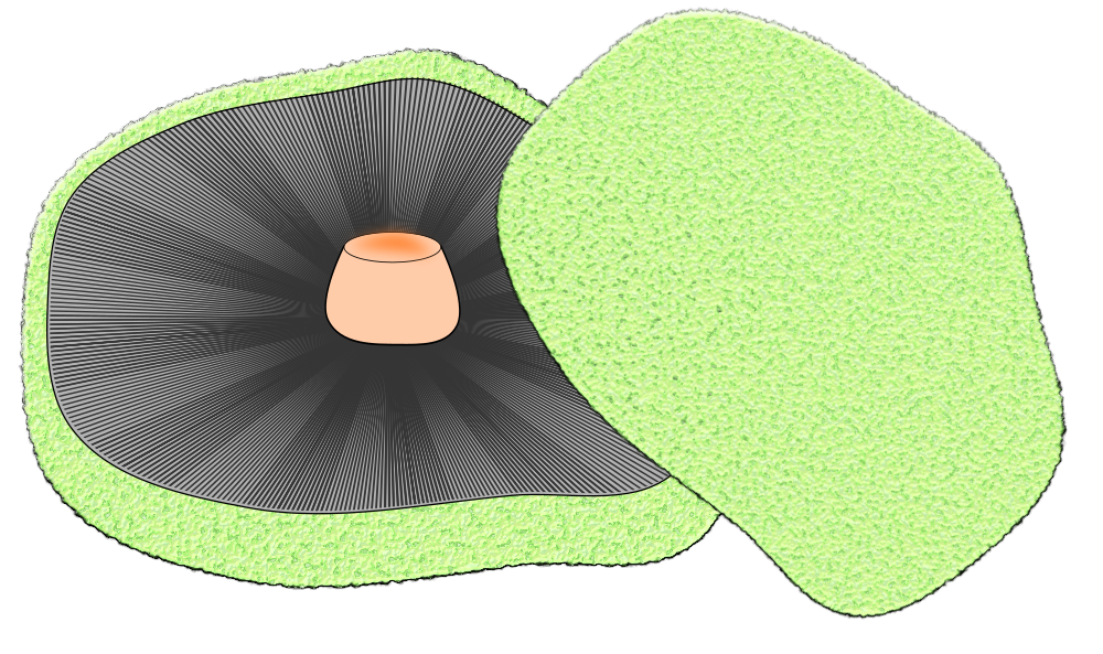 Onlinelabels clip art. Mushrooms clipart portobello mushroom