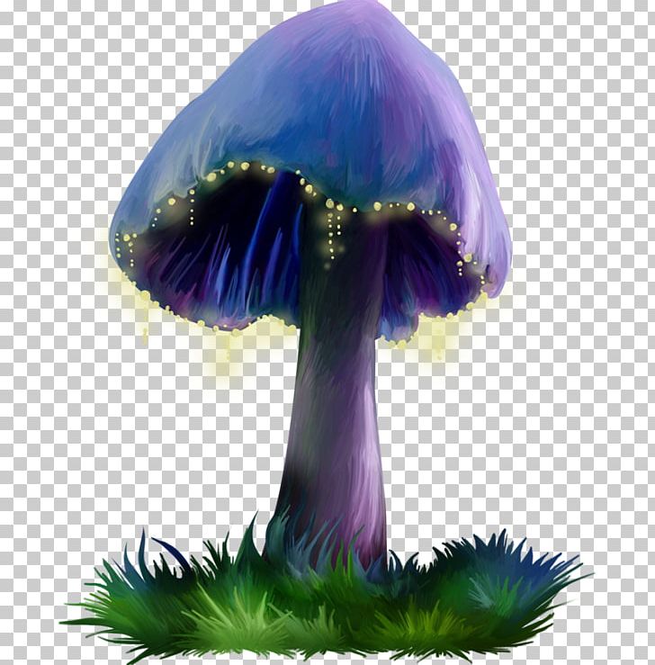 mushrooms clipart purple mushroom
