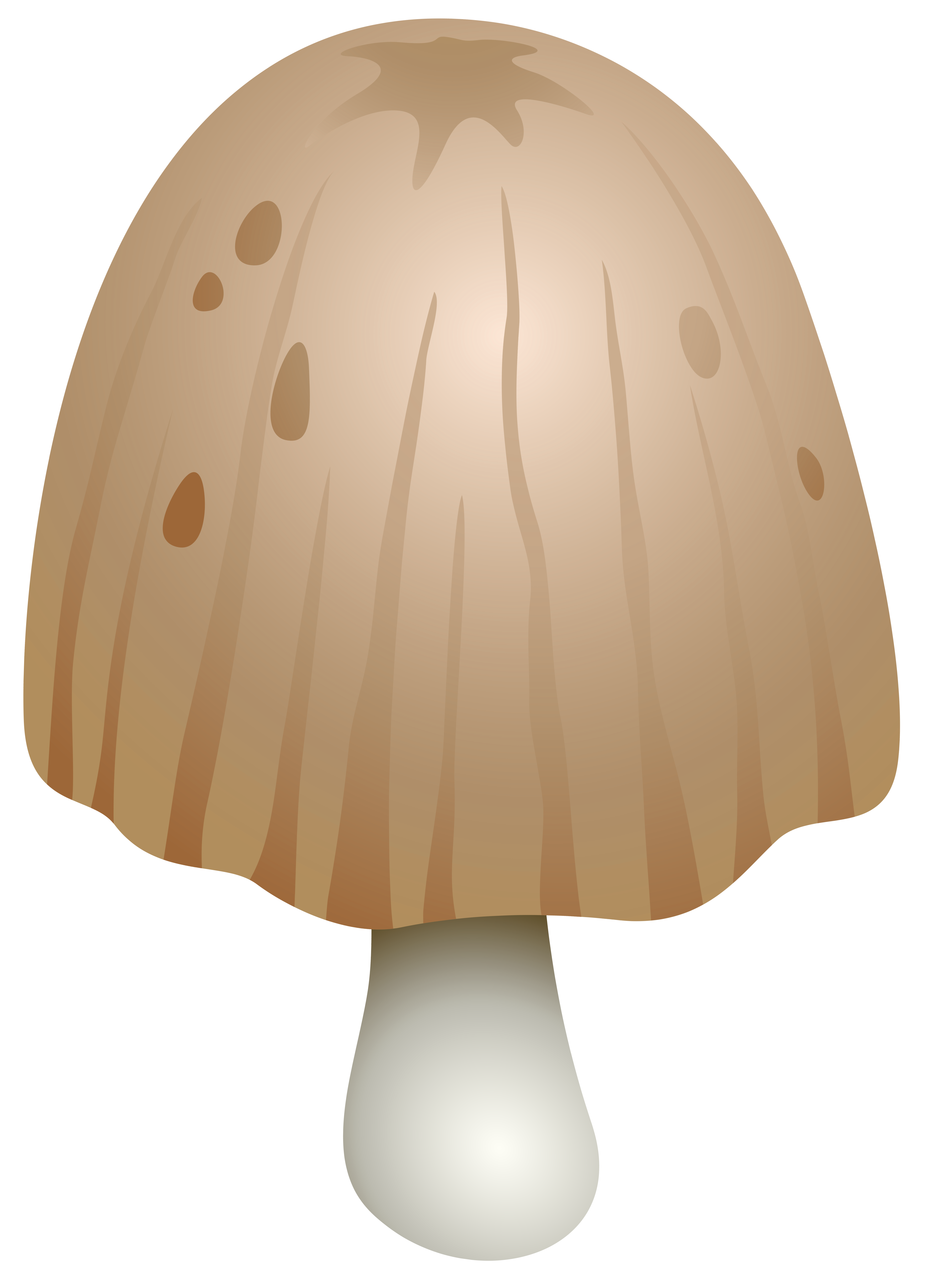 mushroom clipart realistic