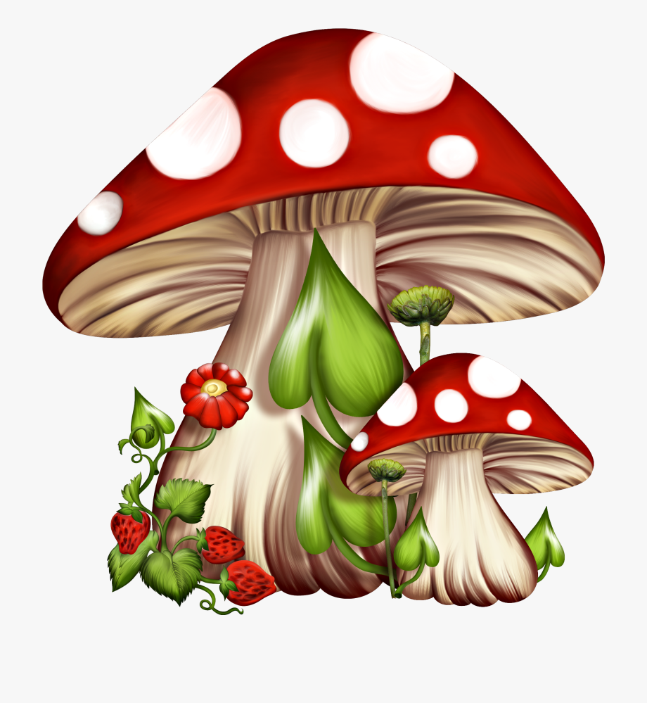 mushrooms clipart realistic