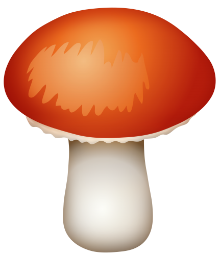 mushrooms clipart orange mushroom