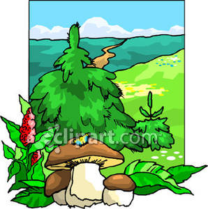 mushroom clipart scenery