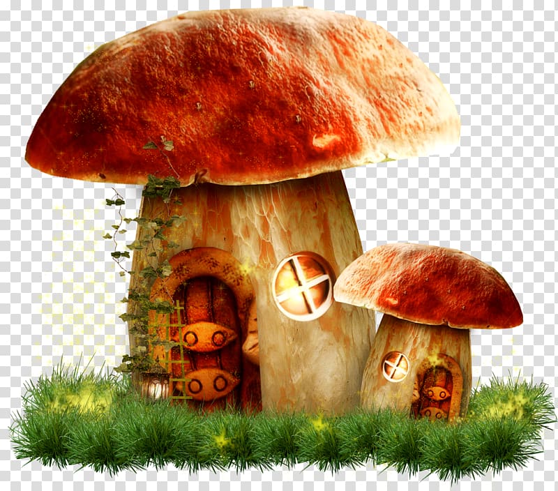 mushroom clipart scenery