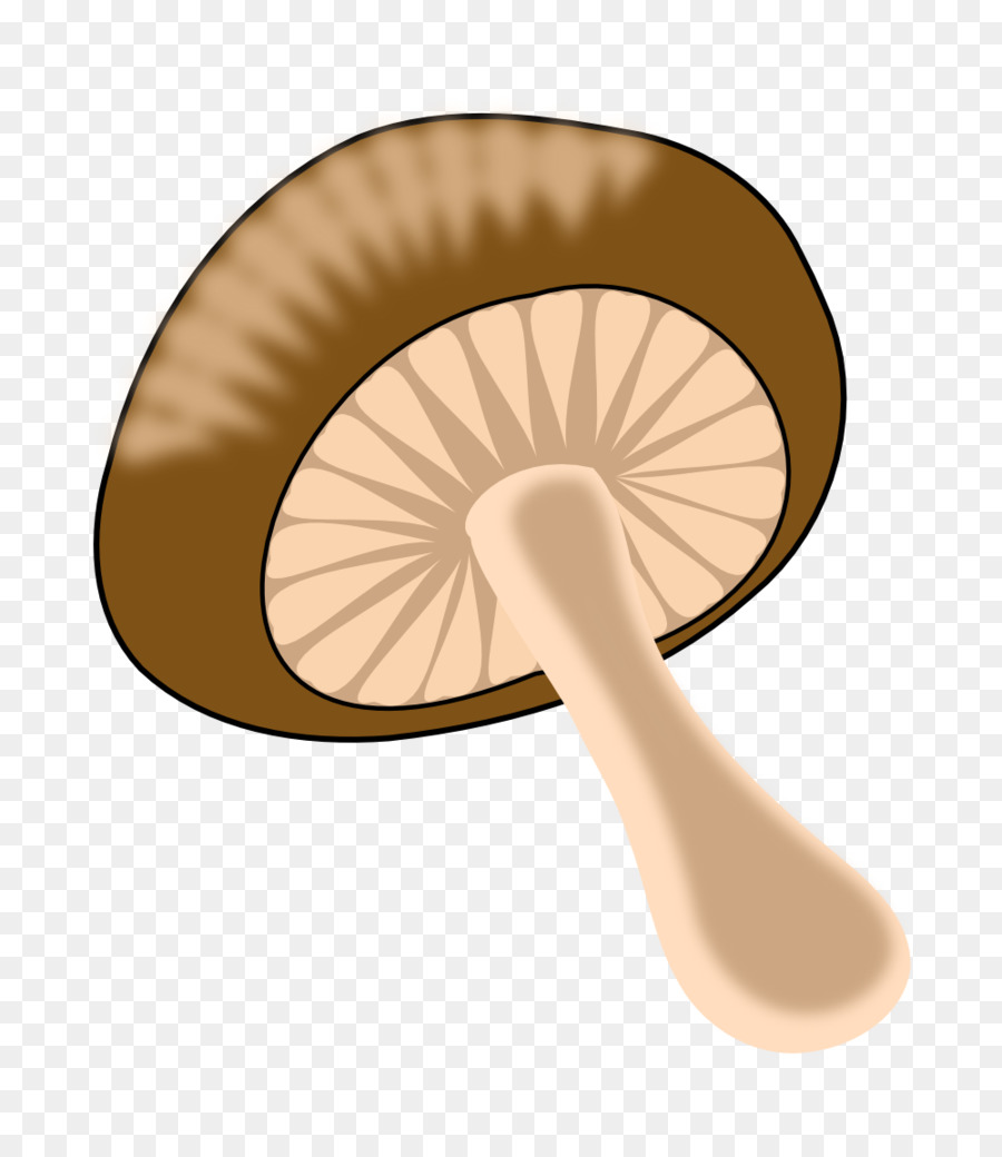 mushroom clipart shiitake mushroom