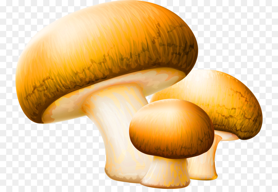 mushroom clipart simple cartoon