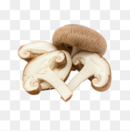 mushrooms clipart sliced mushroom