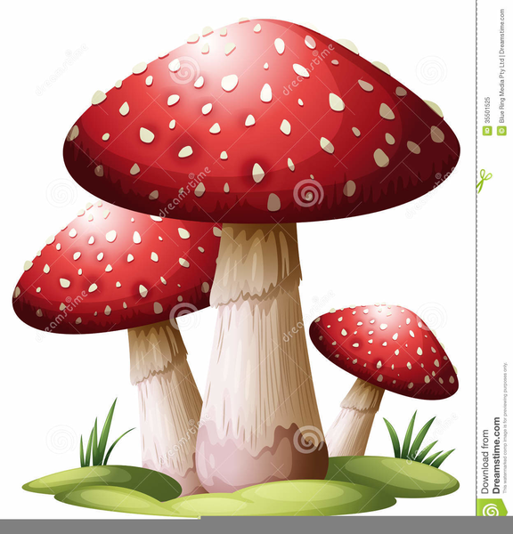 mushroom clipart small mushroom