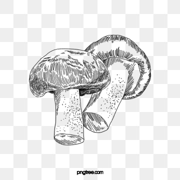 Free download draw poisonous. Mushrooms clipart spot