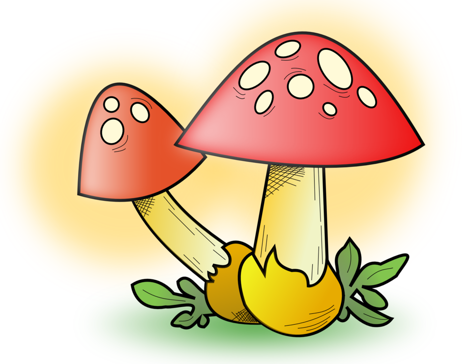 mushroom clipart toadstool