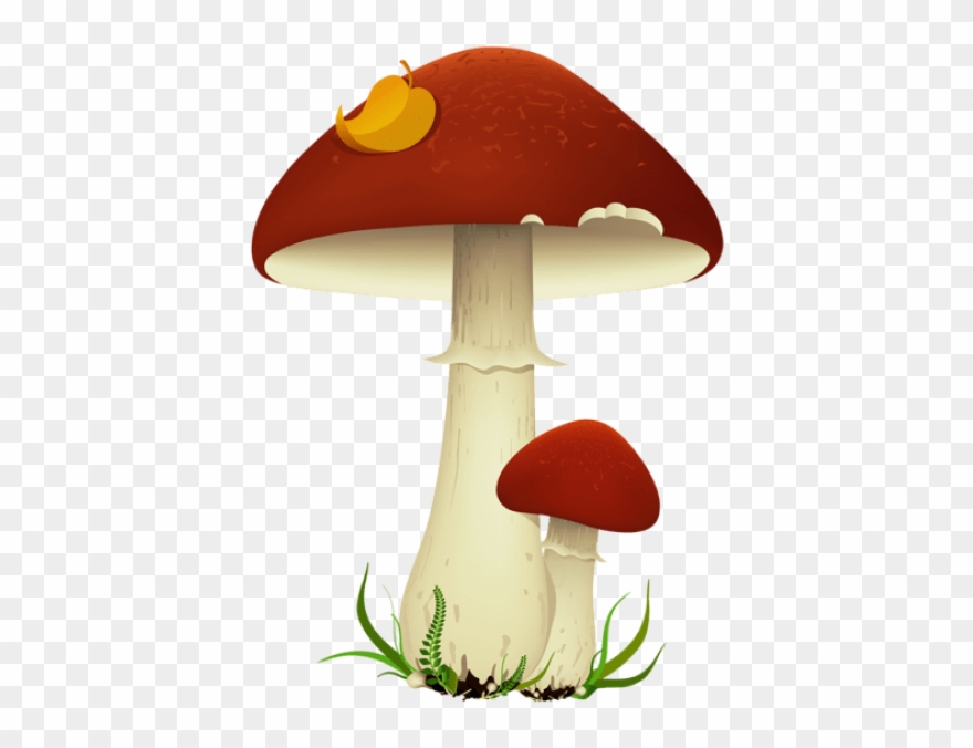 Mushroom clipart transparent background, Mushroom transparent