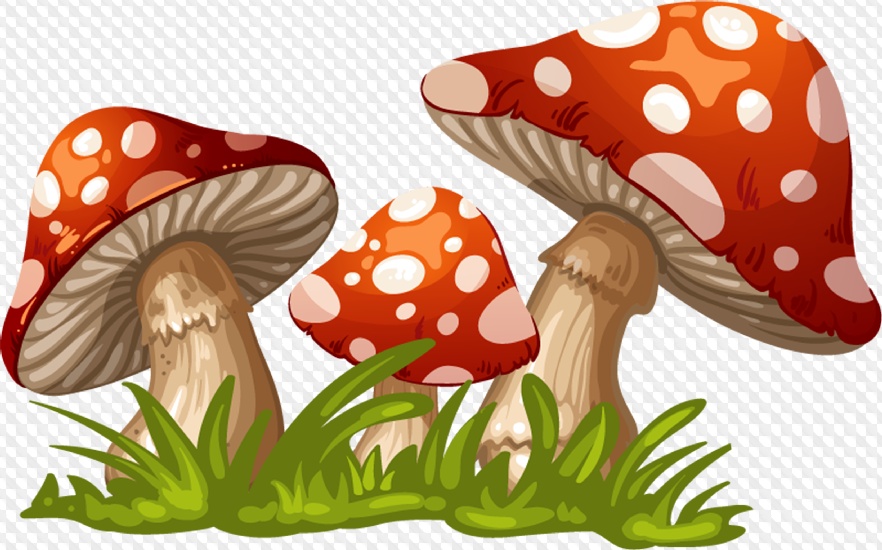Mushroom clipart transparent background, Mushroom