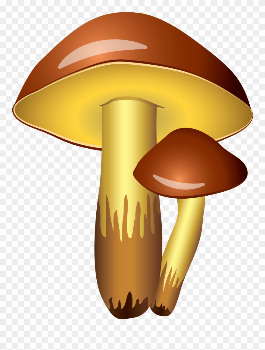 mushrooms clipart transparent background