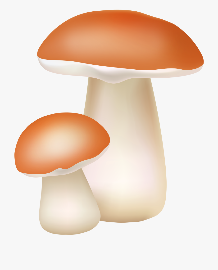 mushroom clipart two