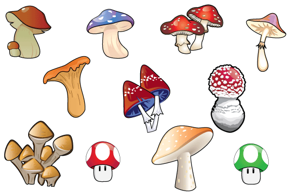 Free mushroom resources vectors. Mushrooms clipart vector