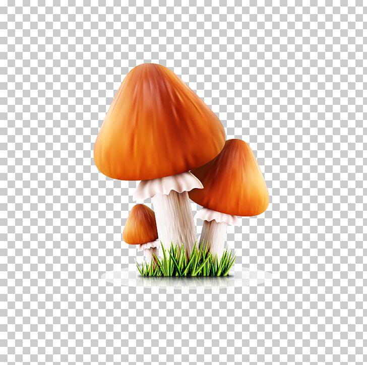 mushrooms clipart wallpaper