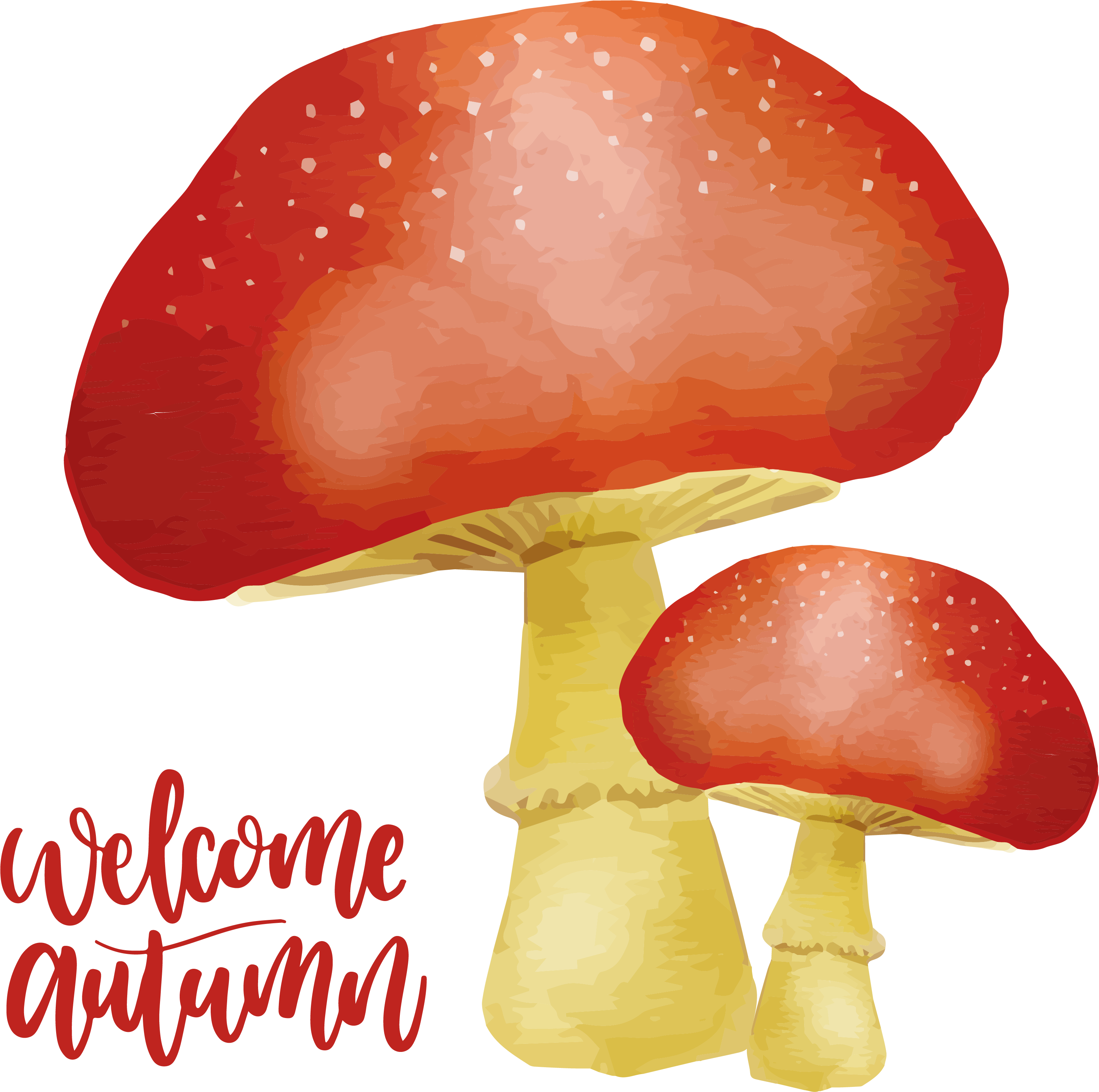mushrooms clipart watercolor