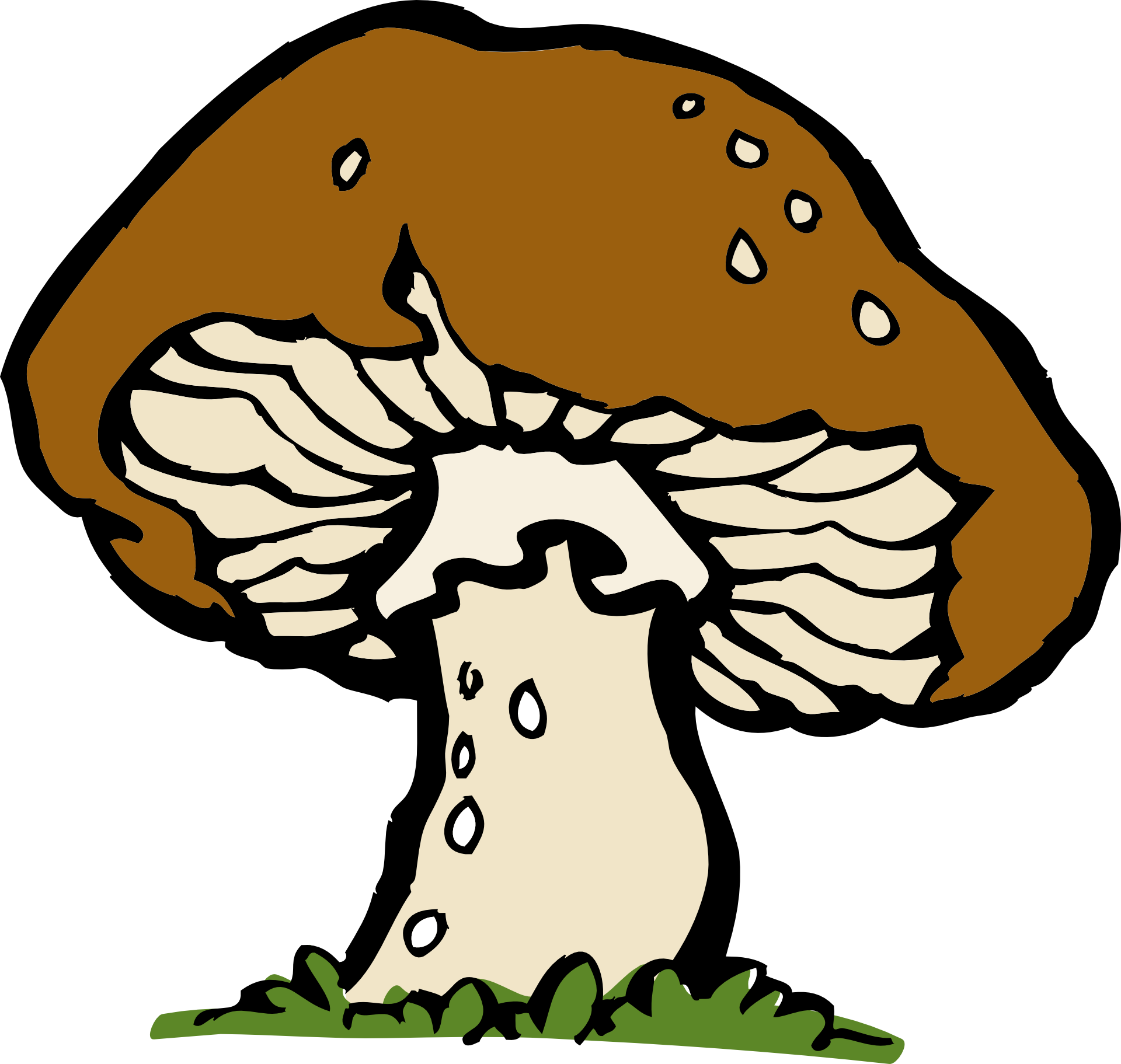 Mushroom clipart wild mushroom. Morchella free content clip