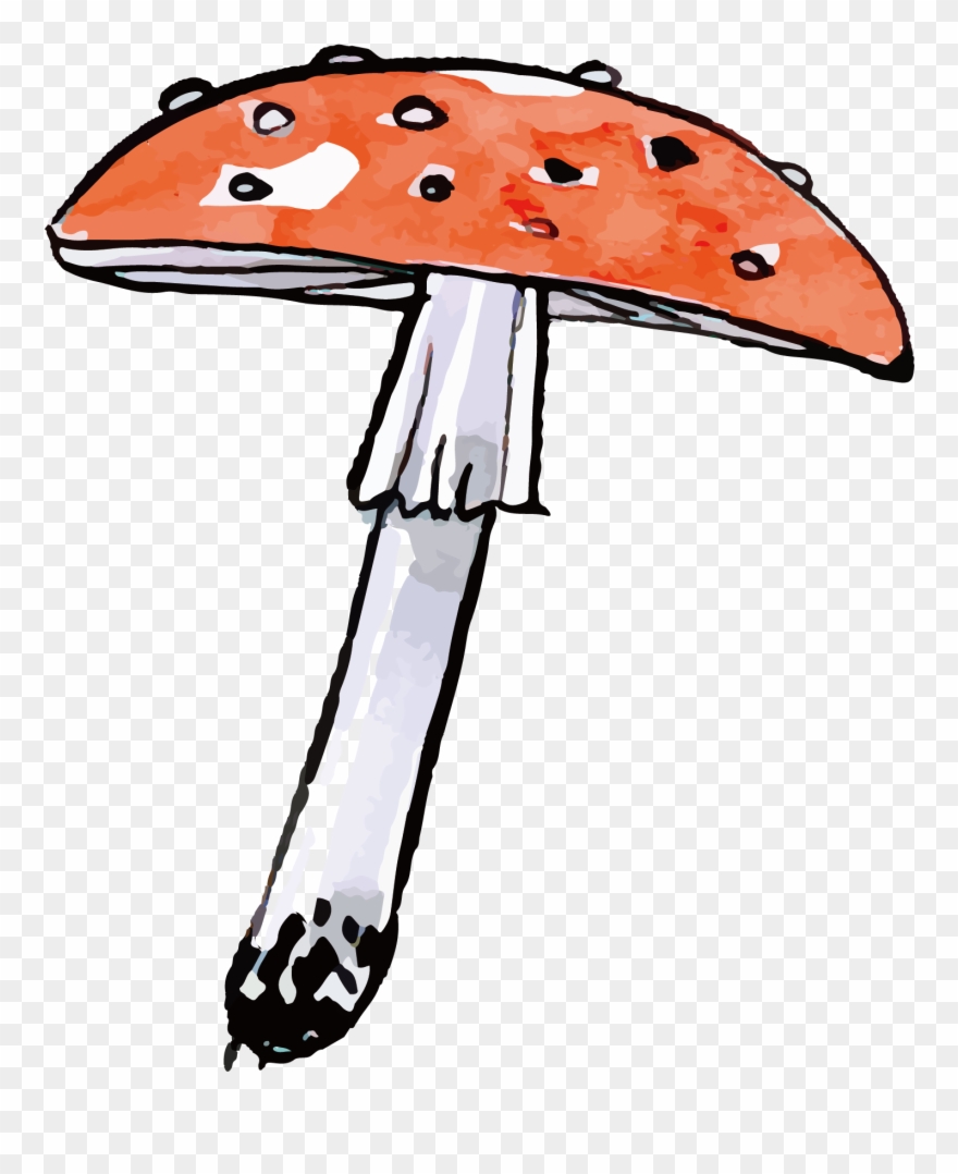 Drawn . Mushroom clipart wild mushroom