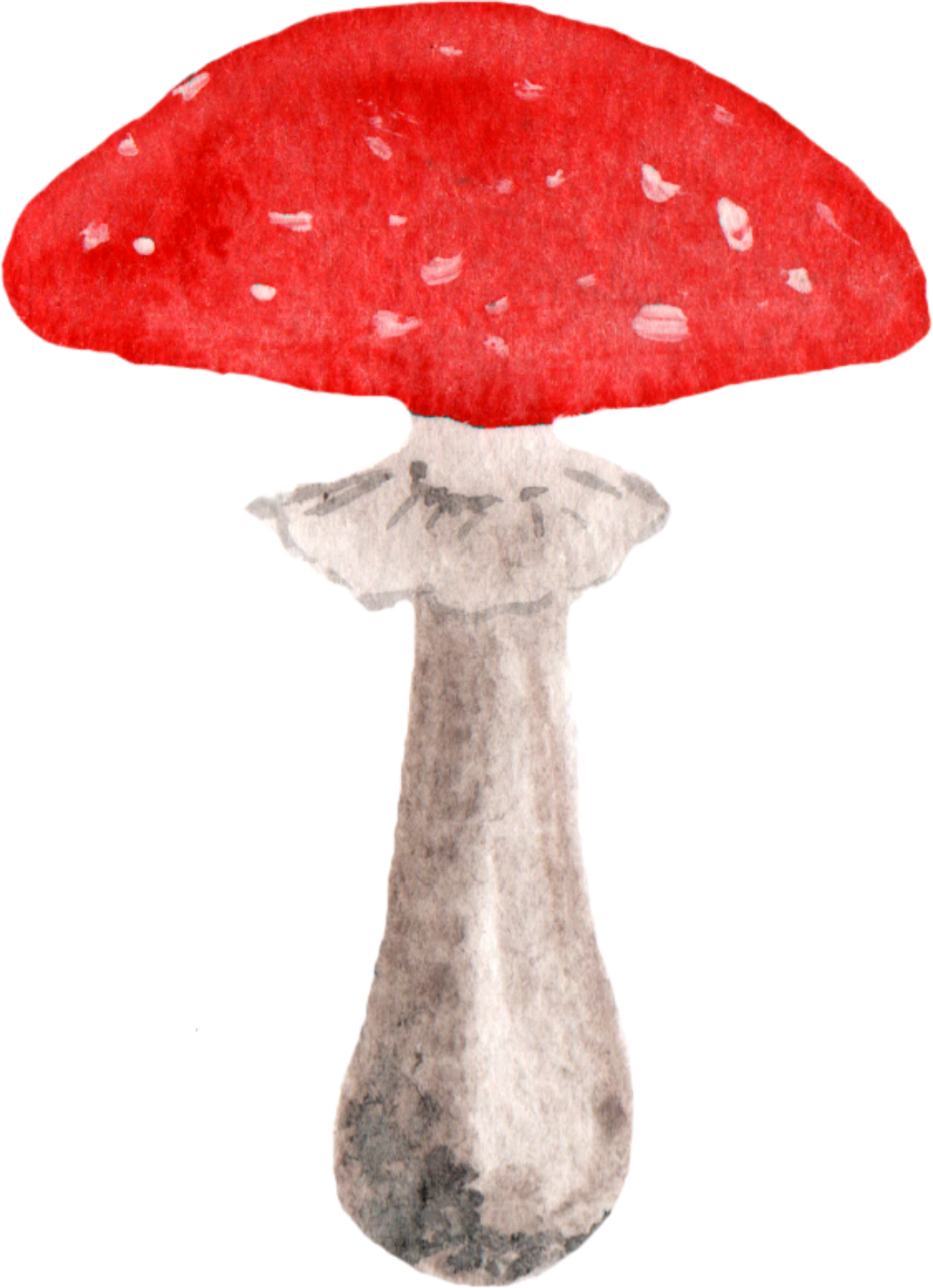 mushrooms clipart watercolor