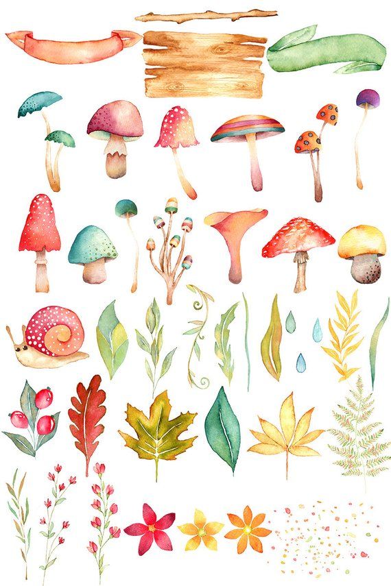 mushrooms clipart autumn