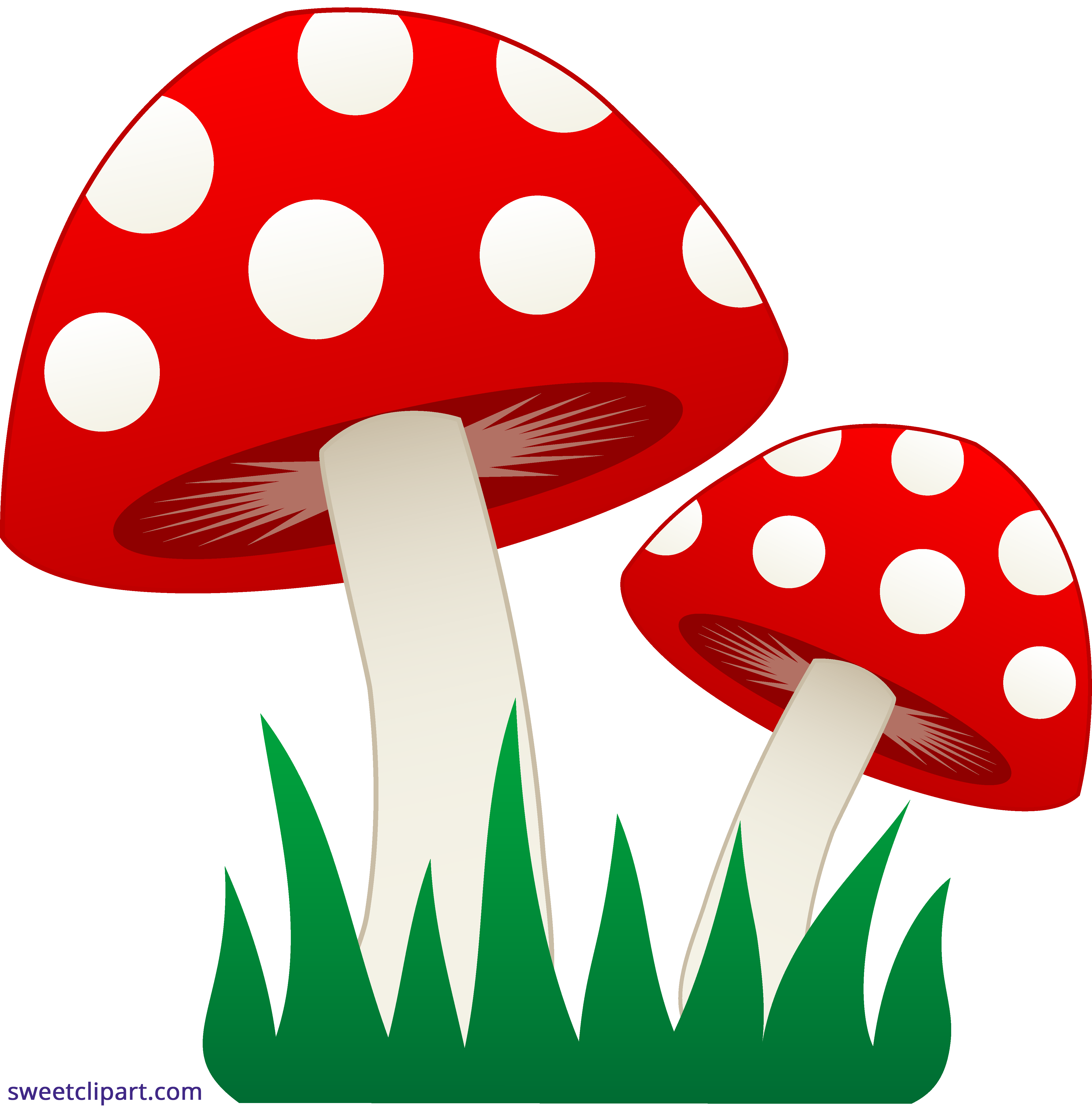 clipart grass mushroom