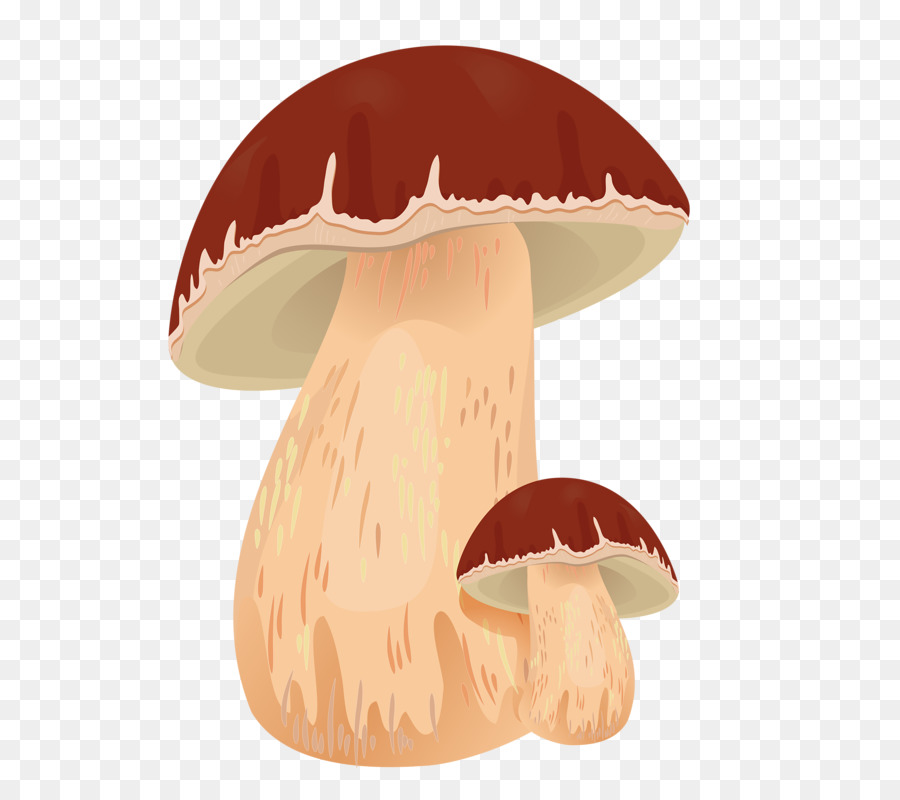 Mushrooms clipart autumn. Cartoon png download free