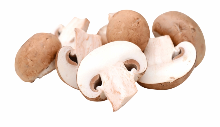 mushrooms clipart champignon mushroom