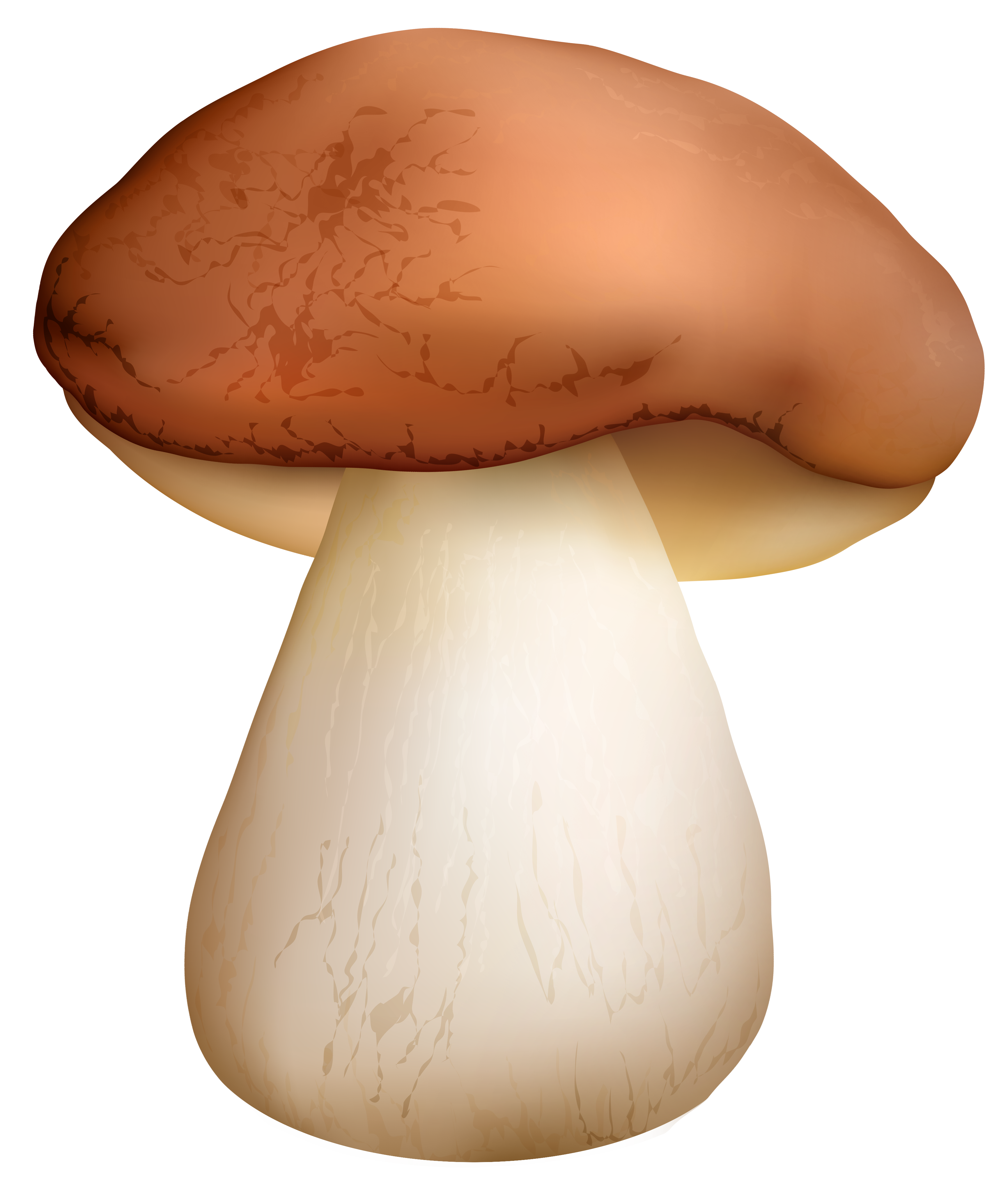 mushrooms clipart dark brown