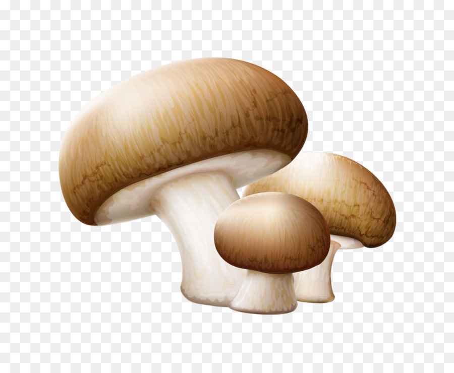 Mushrooms clipart edible mushroom, Mushrooms edible