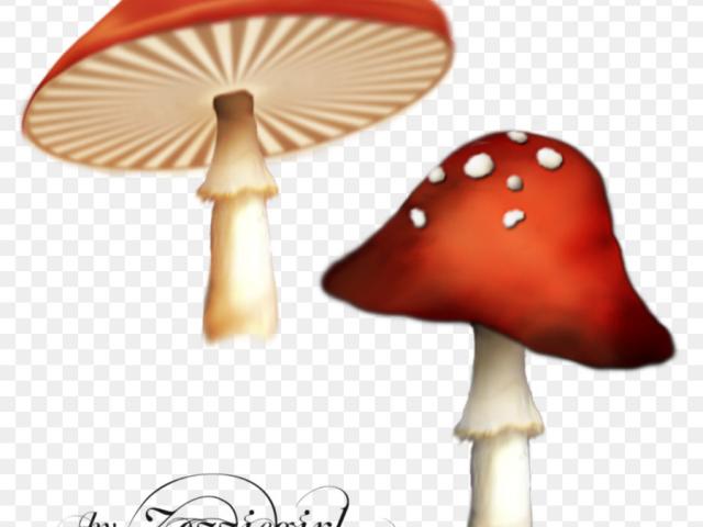 mushrooms clipart enchanted
