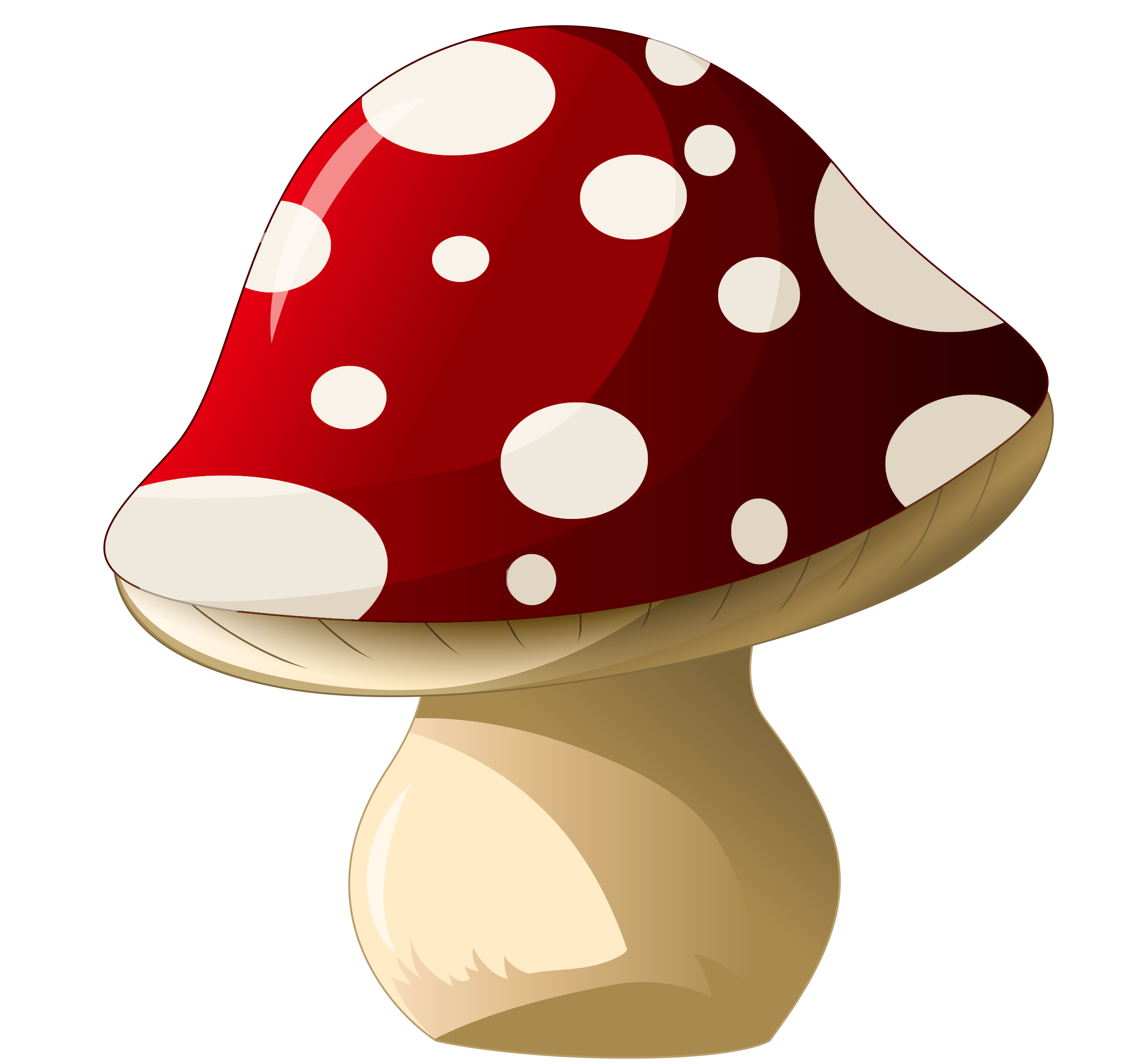 mushrooms clipart fungus