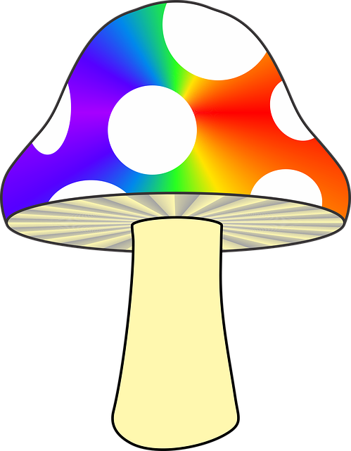 Mushrooms clipart magical rainbow. Psychedelic mushroom skin nature