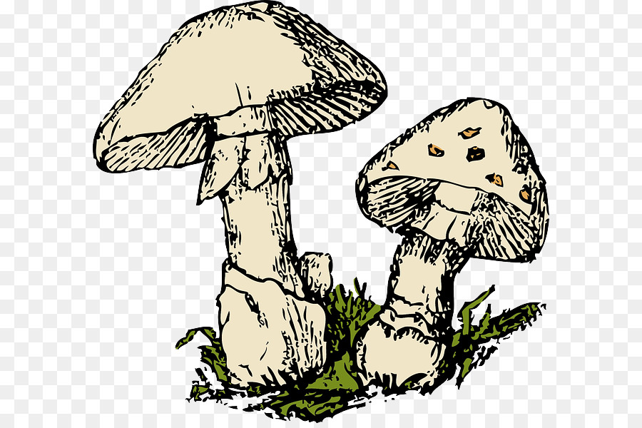 mushrooms clipart mushroom tree