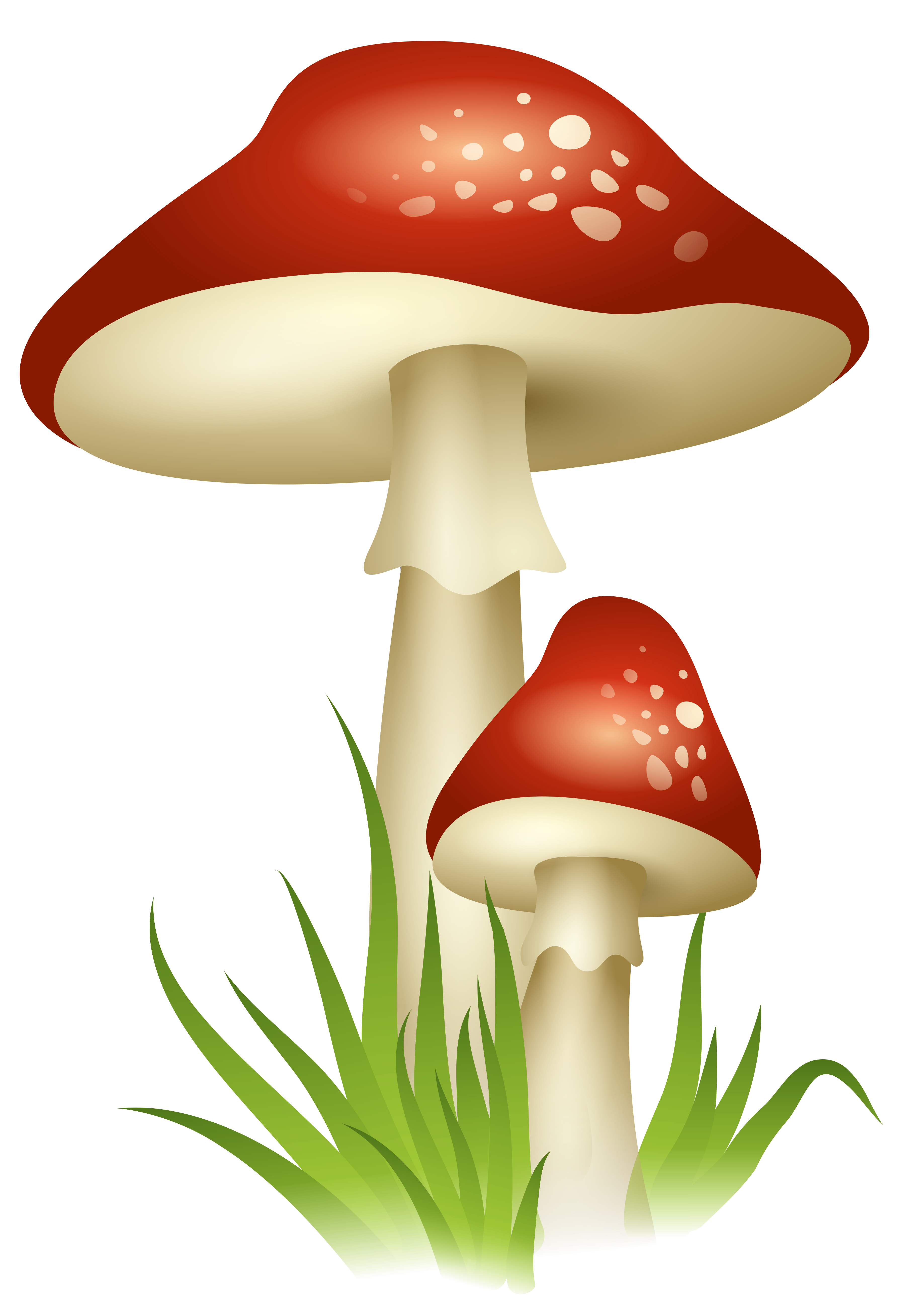 mushrooms clipart printable
